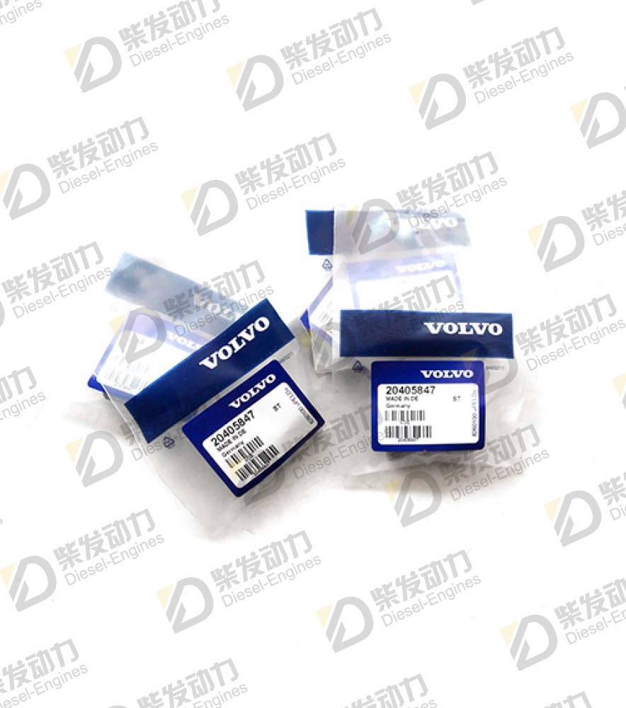 Hollow screw 20405562 